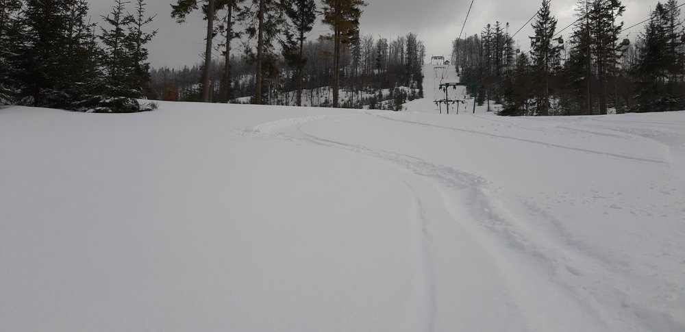 20190312_132115.jpg