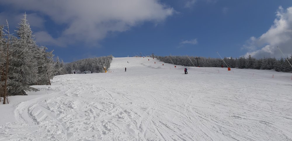 20190312_135216.jpg