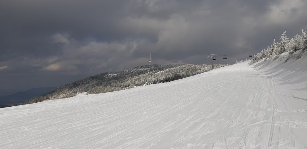 20190312_140300.jpg