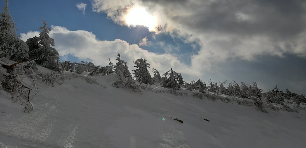 20190312_140307.jpg