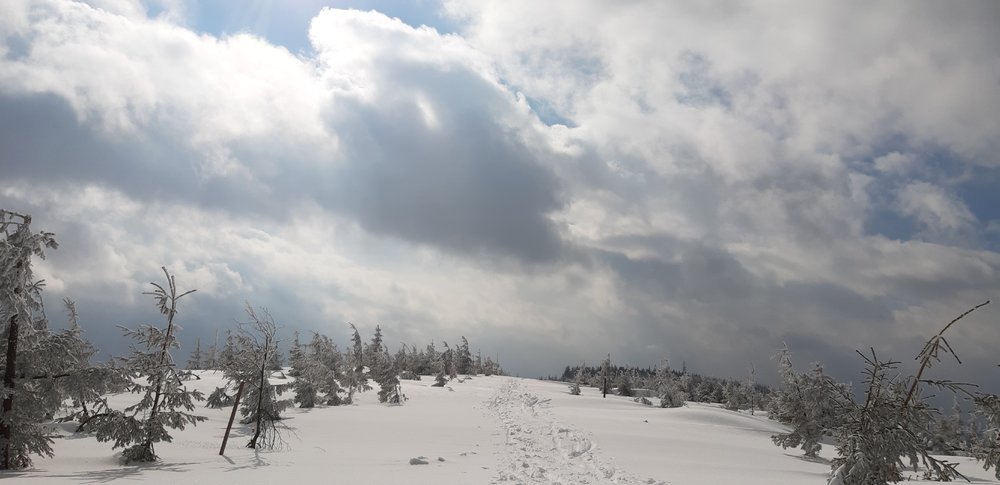 20190312_140903.jpg