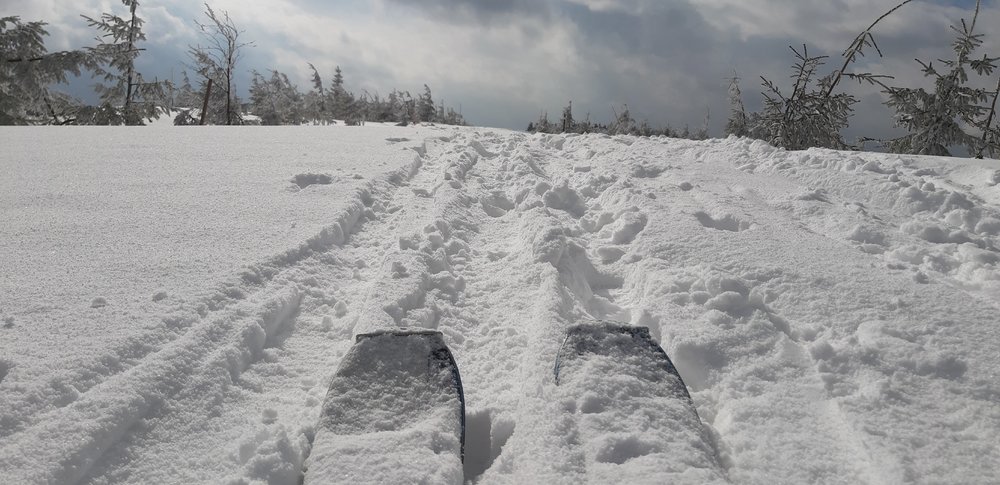 20190312_140909.jpg