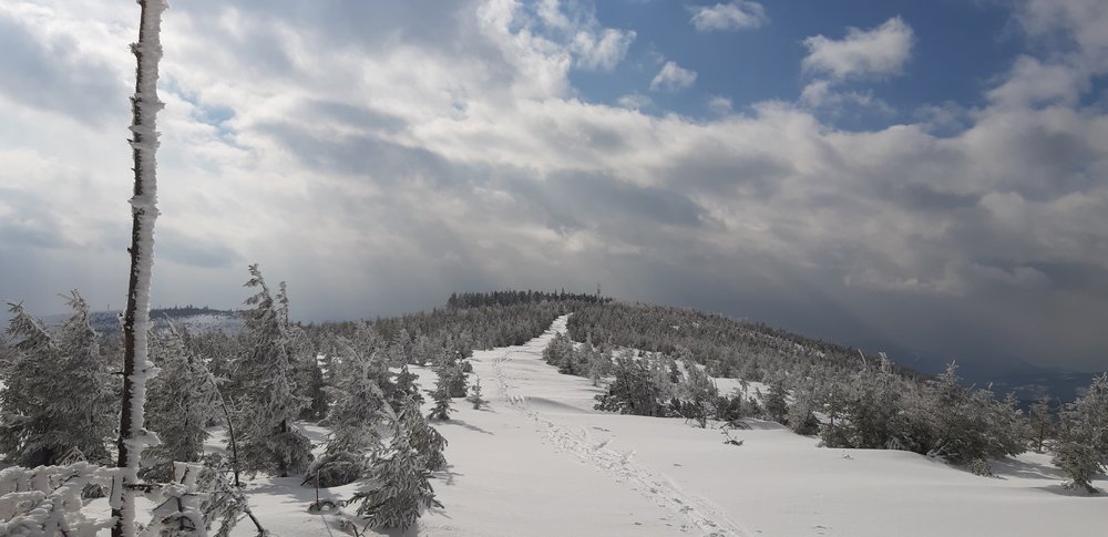20190312_141102.jpg
