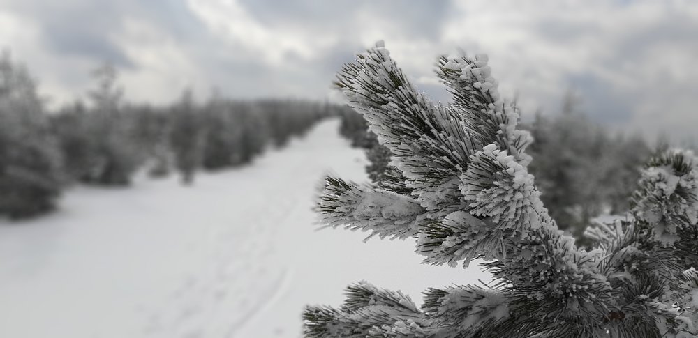 20190312_141552.jpg
