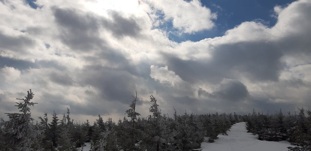 20190312_141618.jpg