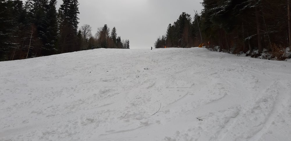 20190312_143433.jpg