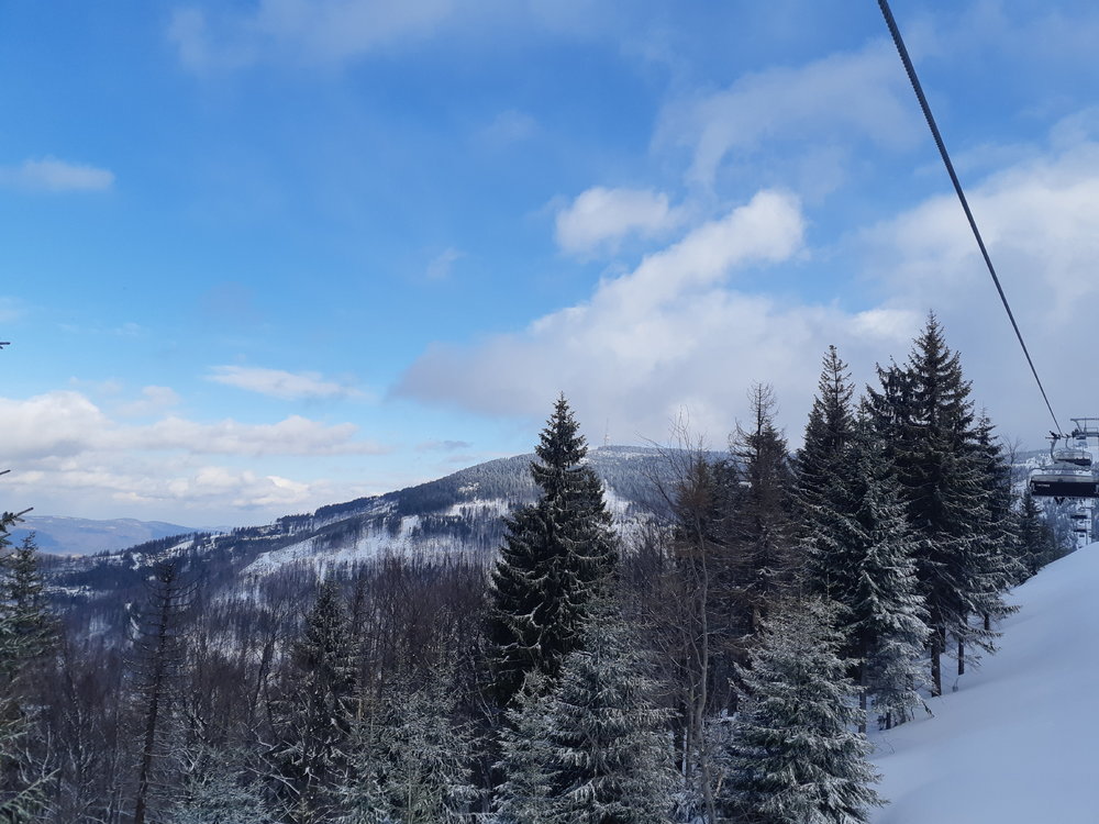 20190314_140449.jpg