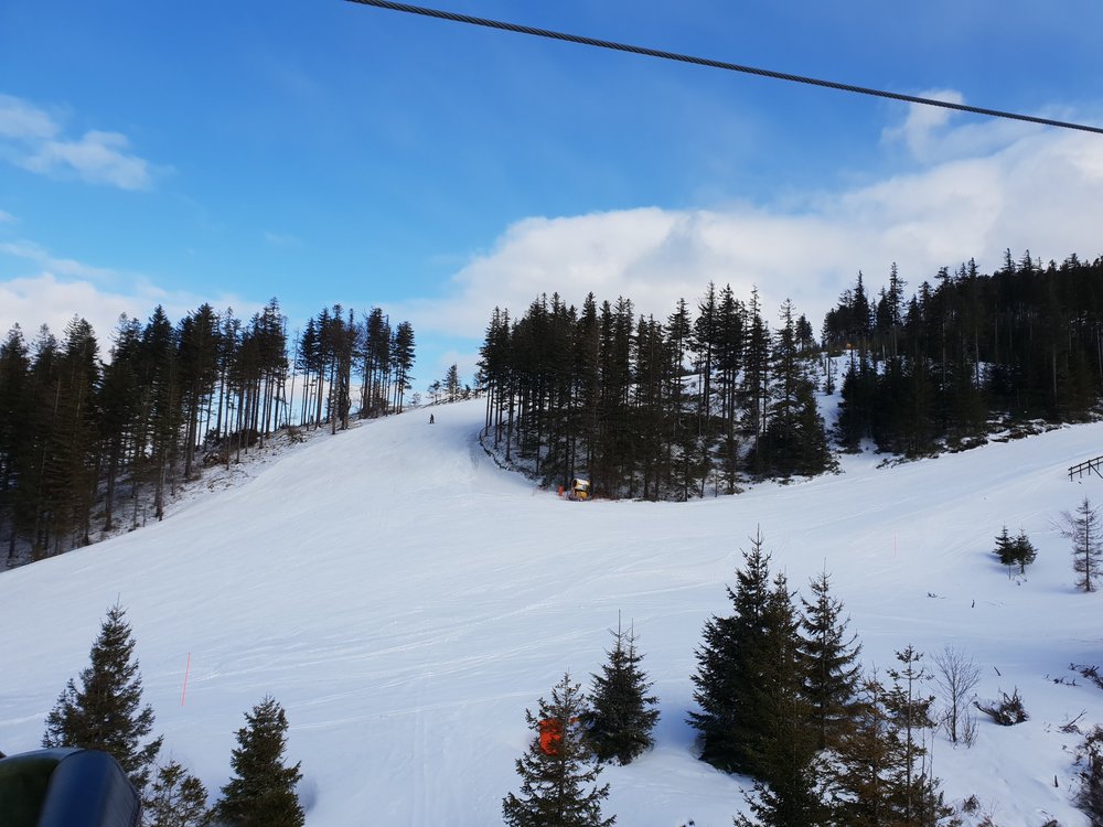 20190314_140626.jpg