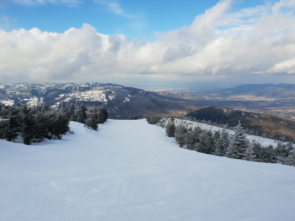 20190314_141344.jpg