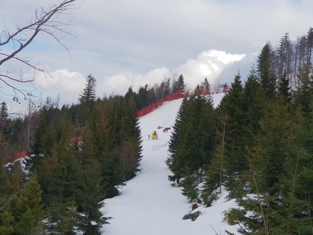 20190314_142635.jpg