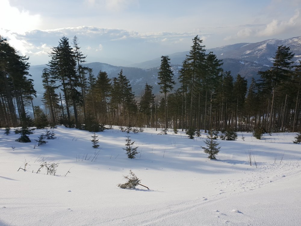 20190314_160409.jpg