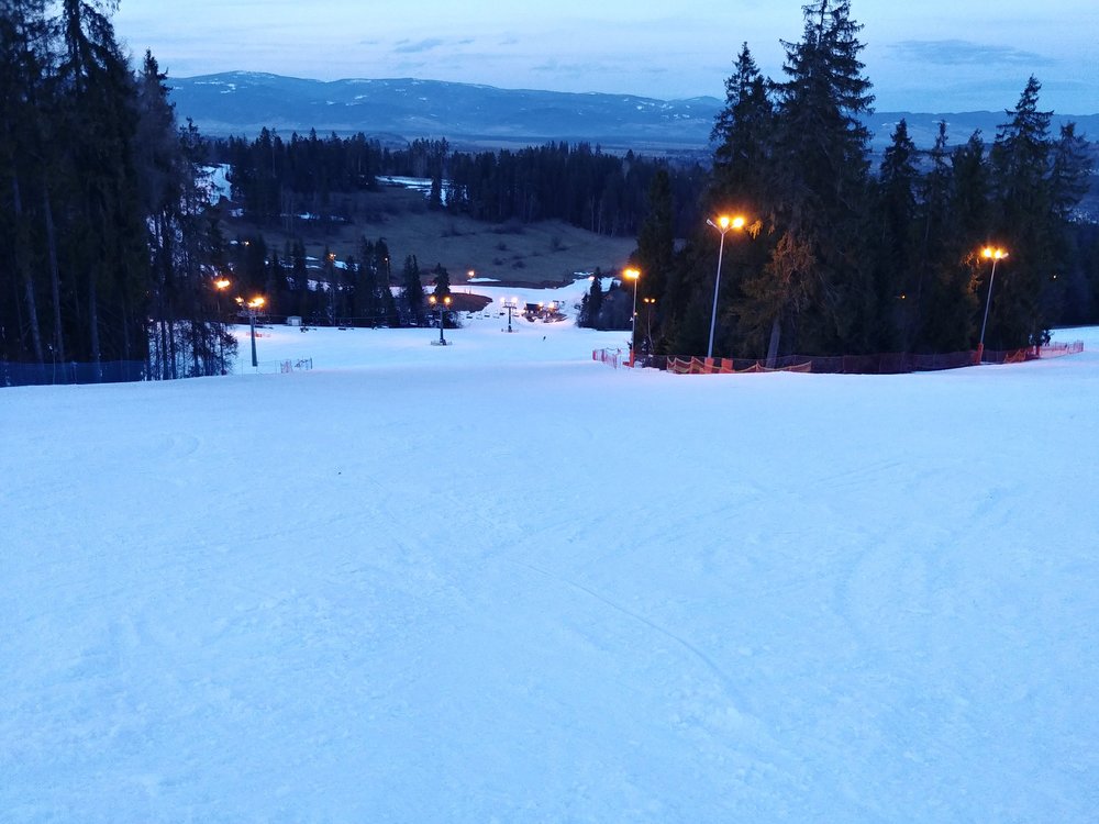 20190314_174348_HDR.thumb.jpg.07d21ca5b36d66203c8cabf099844900.jpg