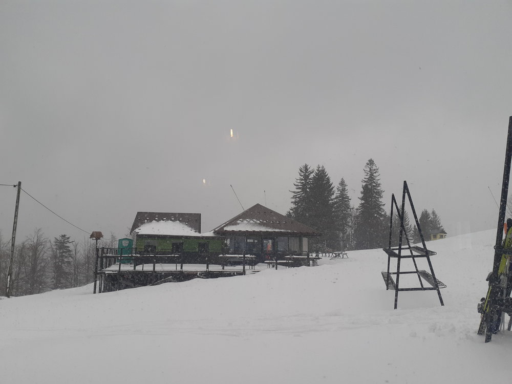 20190315_114955.jpg