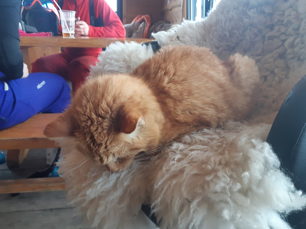 20190315_115145.jpg
