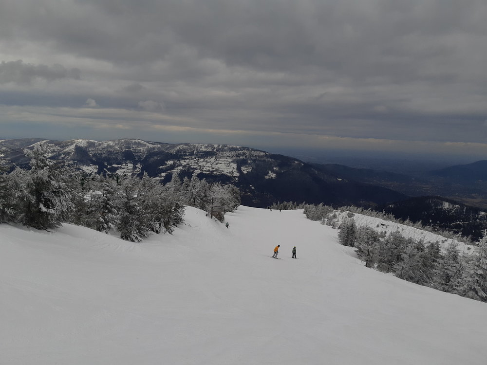 20190315_140932.jpg