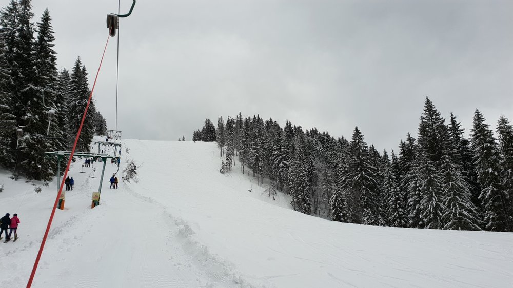 20190316_085721.jpg