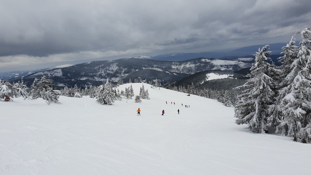 20190316_095005.jpg