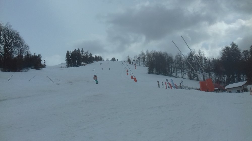 20190316_122901.thumb.jpg.8e313f26618d2a15c687328324e9514d.jpg
