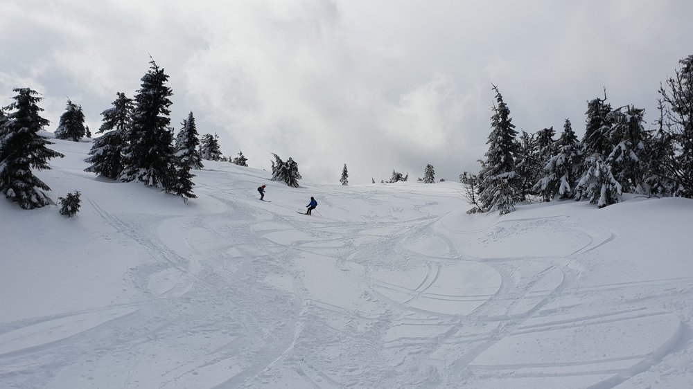 20190316_130041.jpg