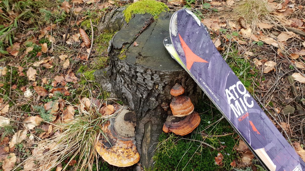 20190316_134542.jpg