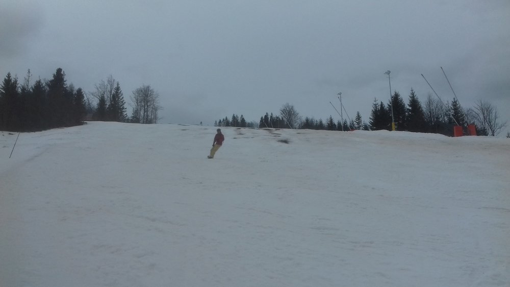 20190316_144227.thumb.jpg.38c14663b883511d63d7c4d3063bbc35.jpg