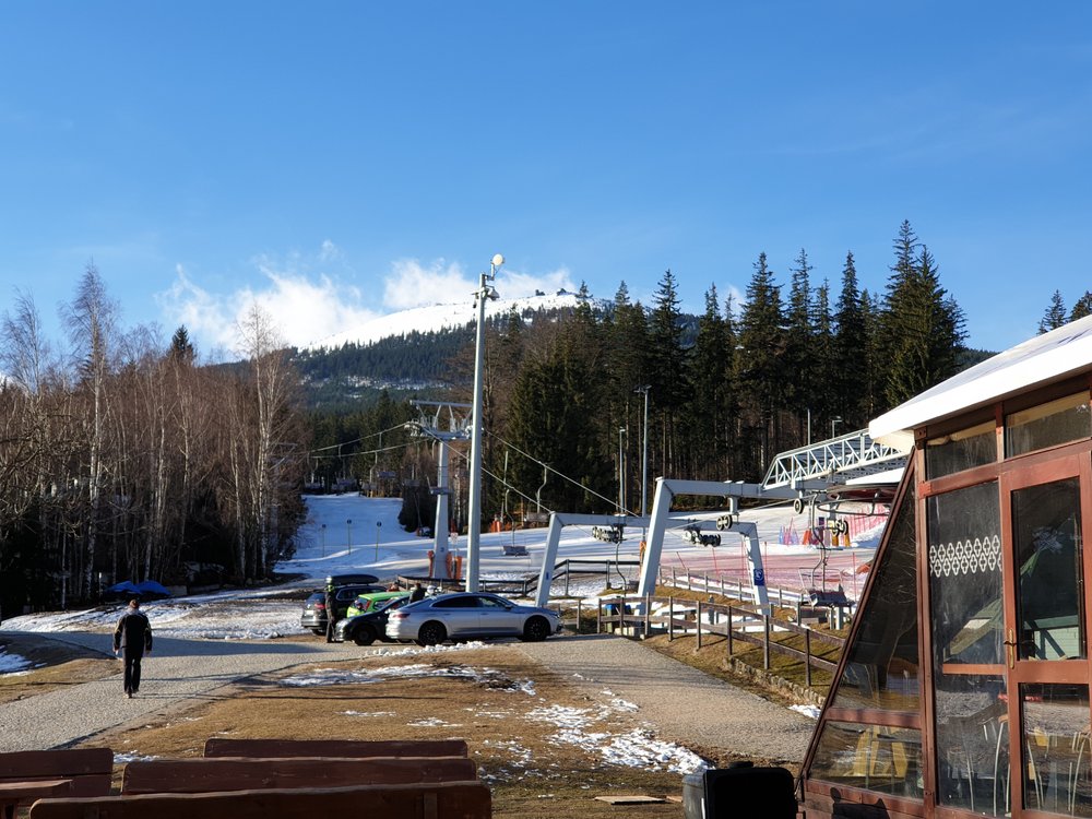 20190317_075414.thumb.jpg.eef442e5e8e1bd54ffd75539cda6ea1f.jpg