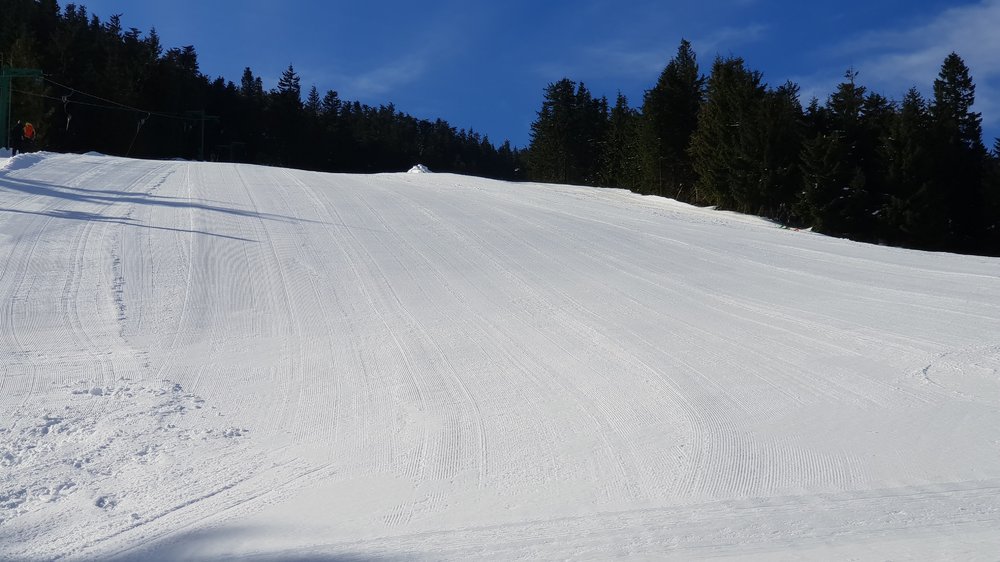 20190317_083751.jpg