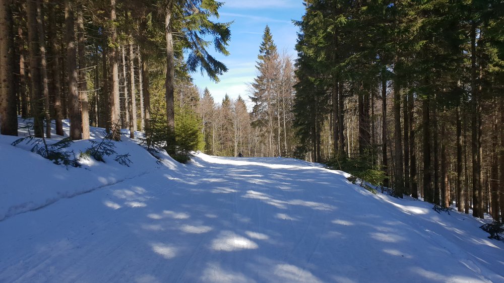 20190317_112637.jpg