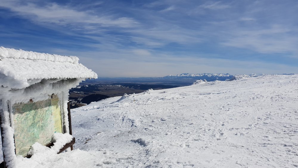 20190317_120611.jpg