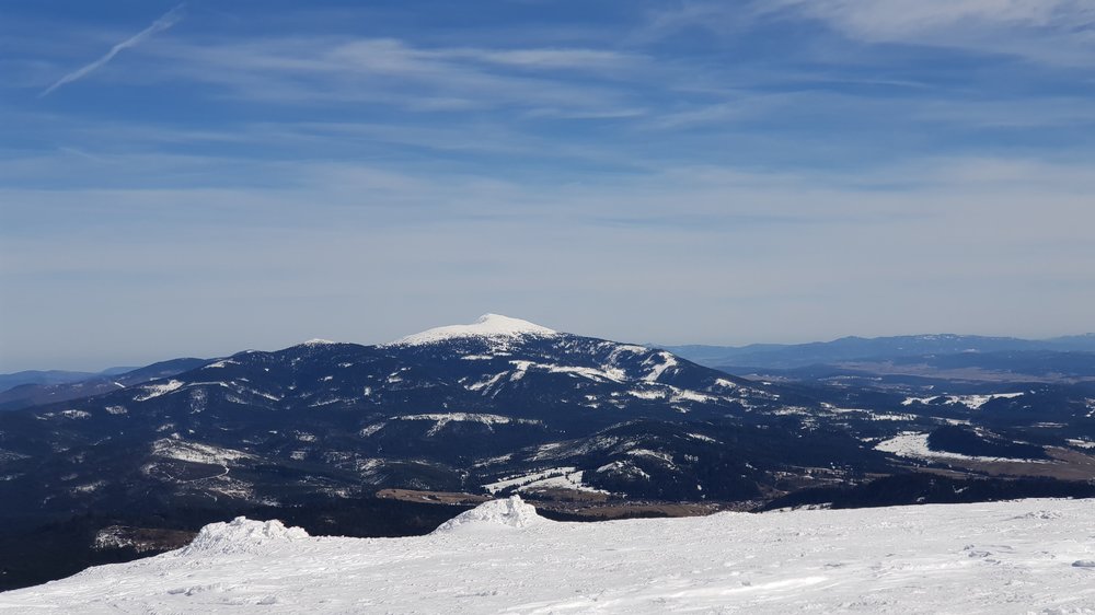 20190317_120815.jpg