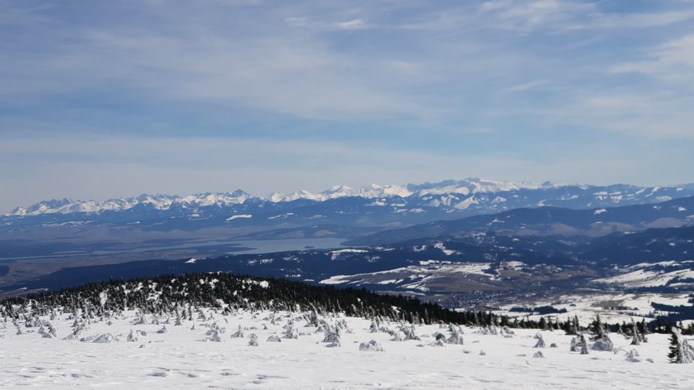 20190317_121605.jpg