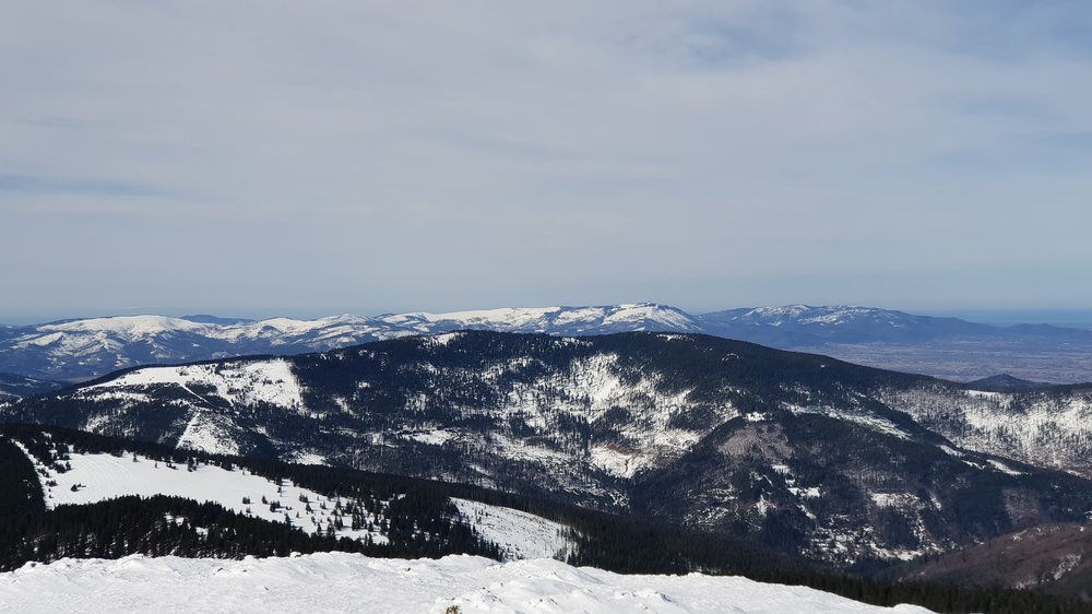 20190317_121841.jpg