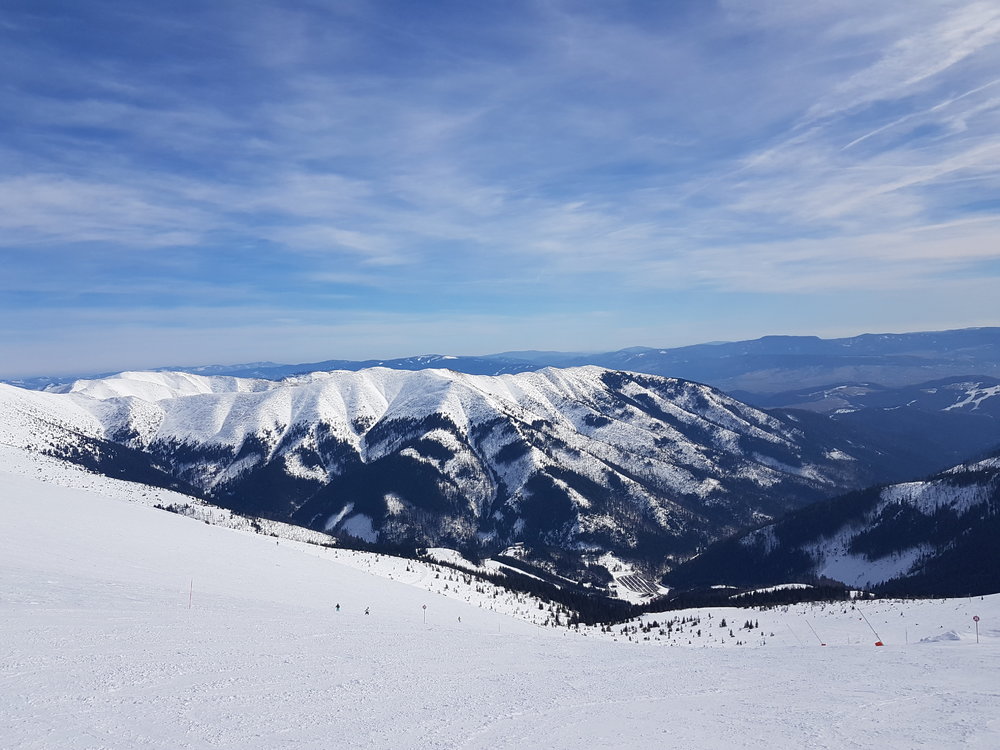 20190317_124428.jpg