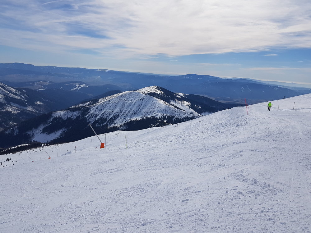 20190317_124431.jpg