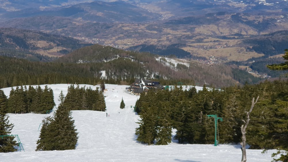 20190317_124737.jpg
