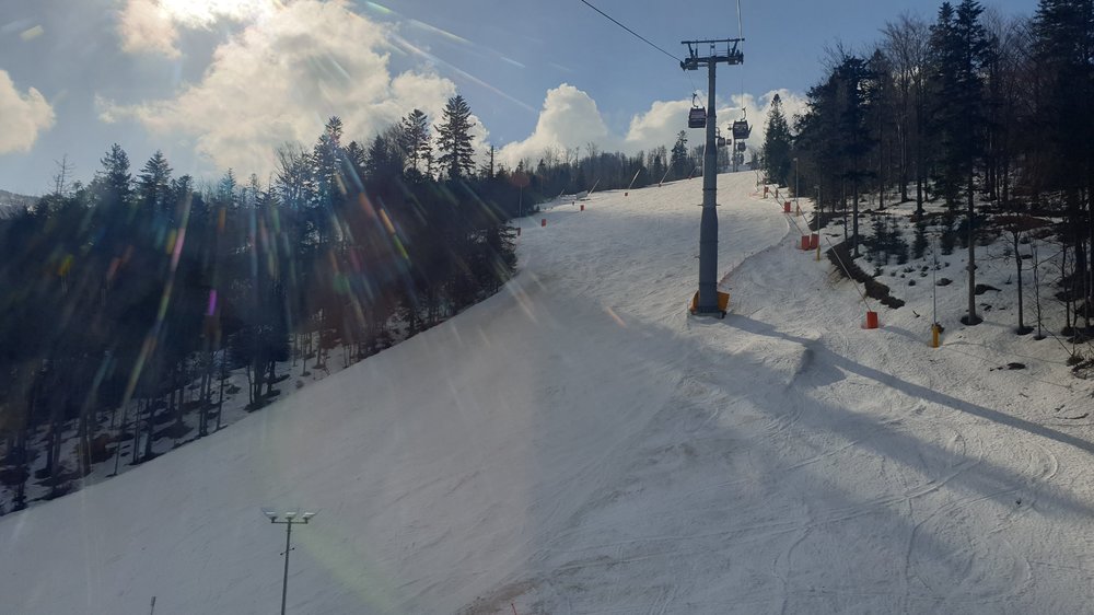 20190320_084924.jpg