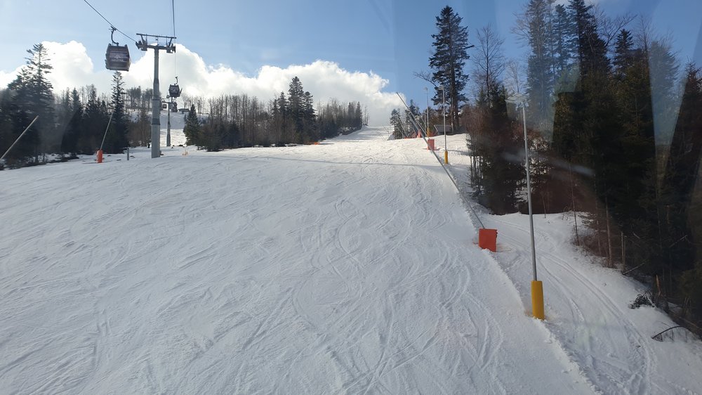 20190320_085029.jpg