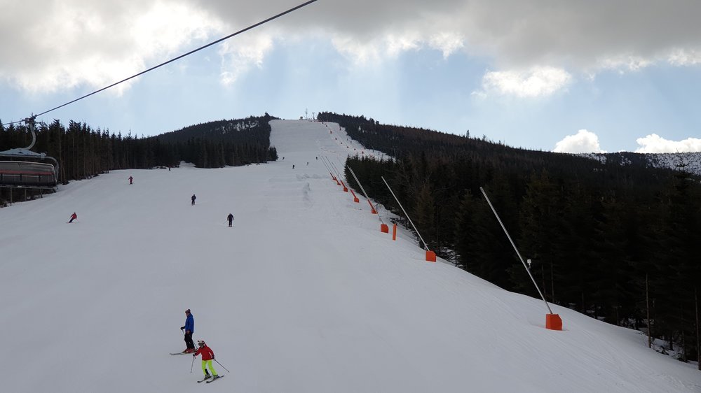 20190320_091249.jpg