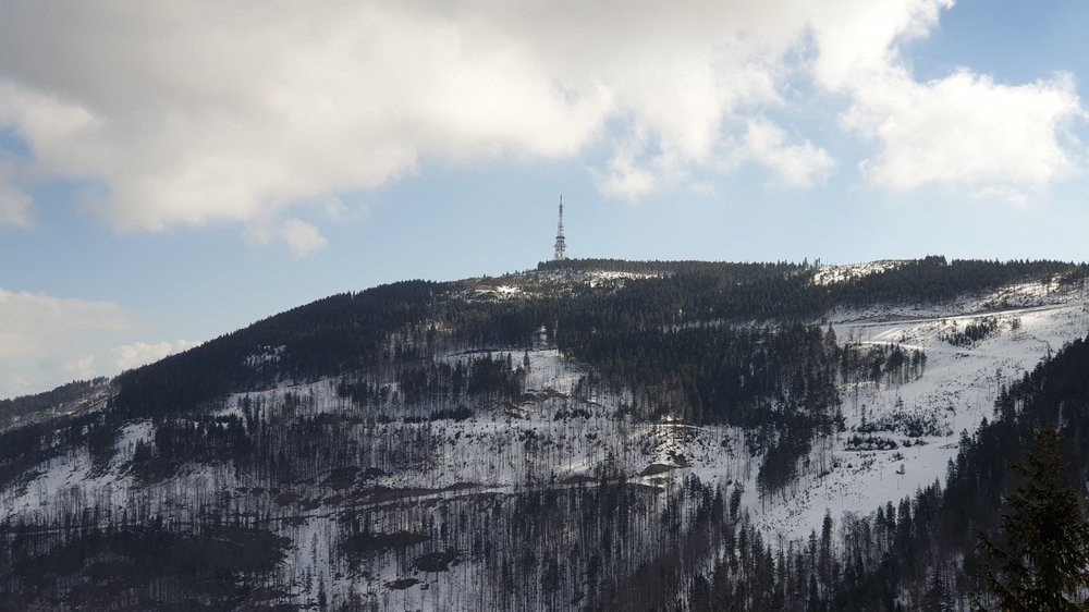 20190320_091409.jpg