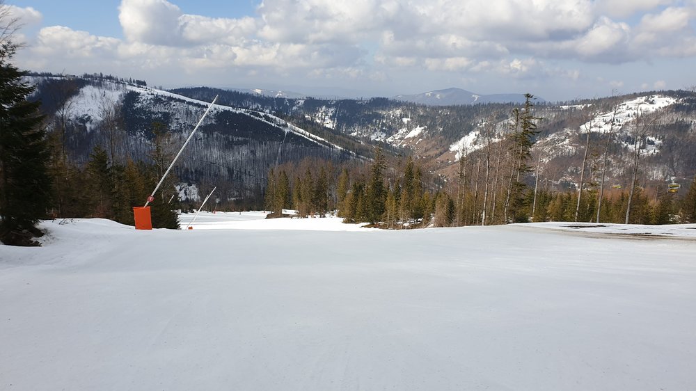 20190320_093736.jpg