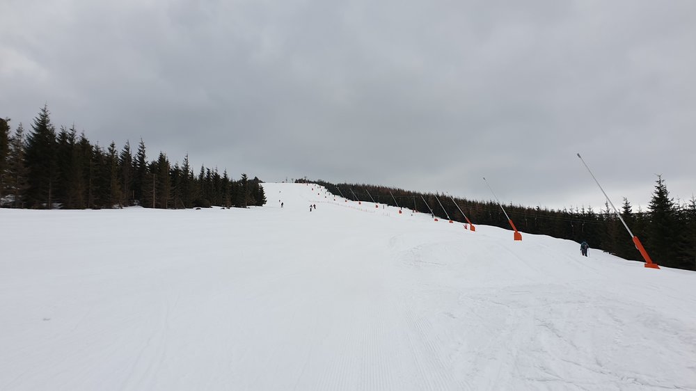 20190320_101804.jpg