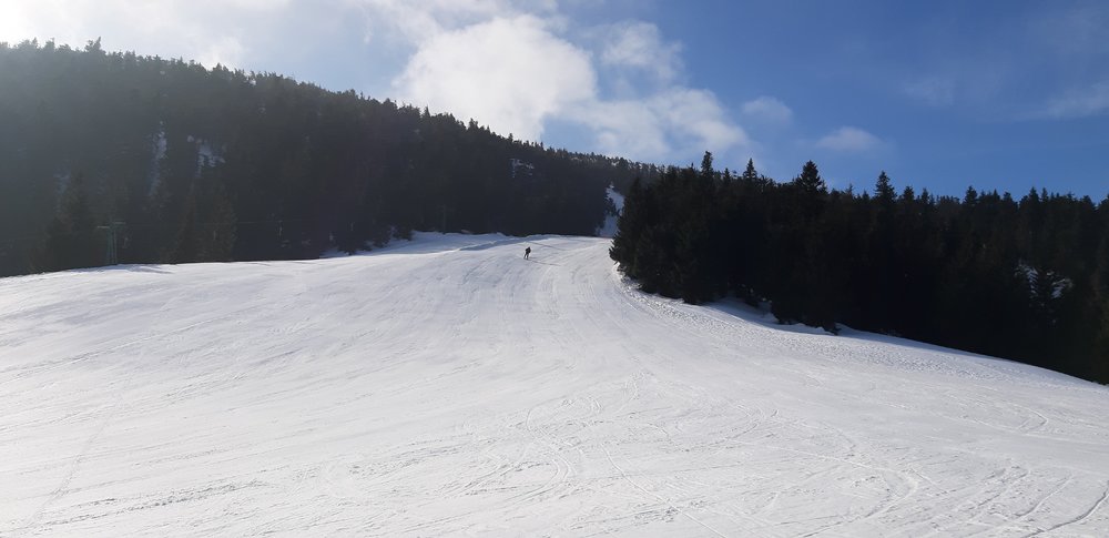 20190322_083641.jpg