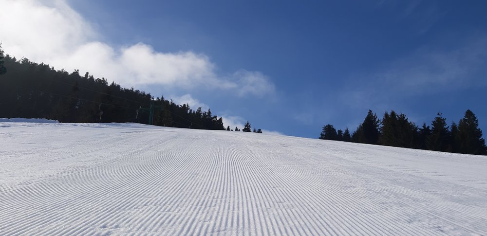 20190322_083703.jpg