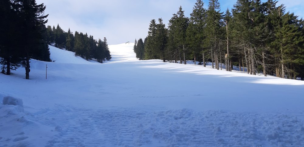 20190322_085013.jpg