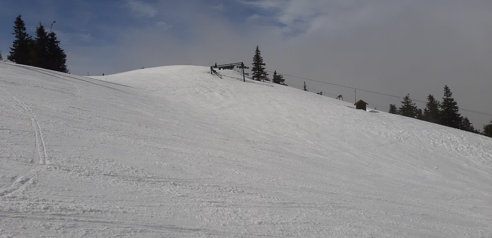 20190322_120604.jpg