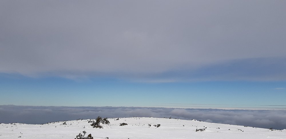 20190322_125133.jpg