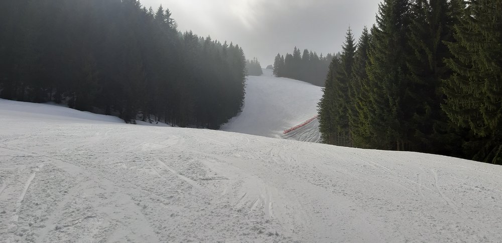20190322_134124.jpg