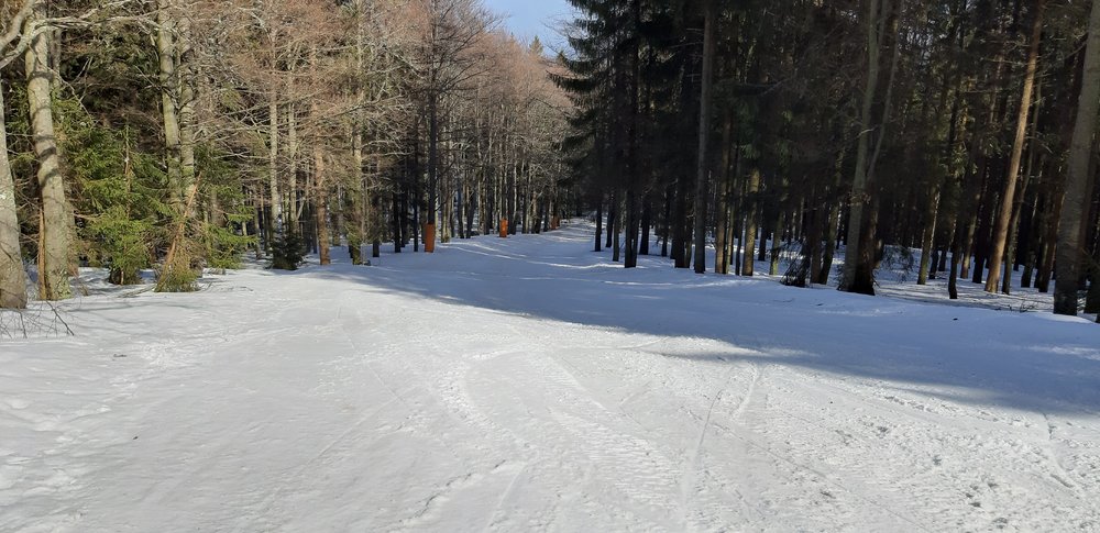 20190322_135614.jpg