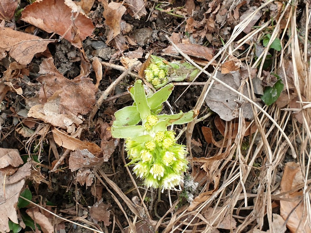 20190322_154901.jpg