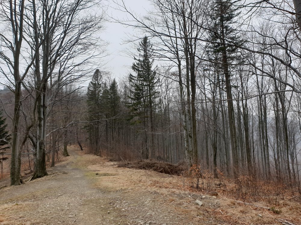20190322_161452.jpg